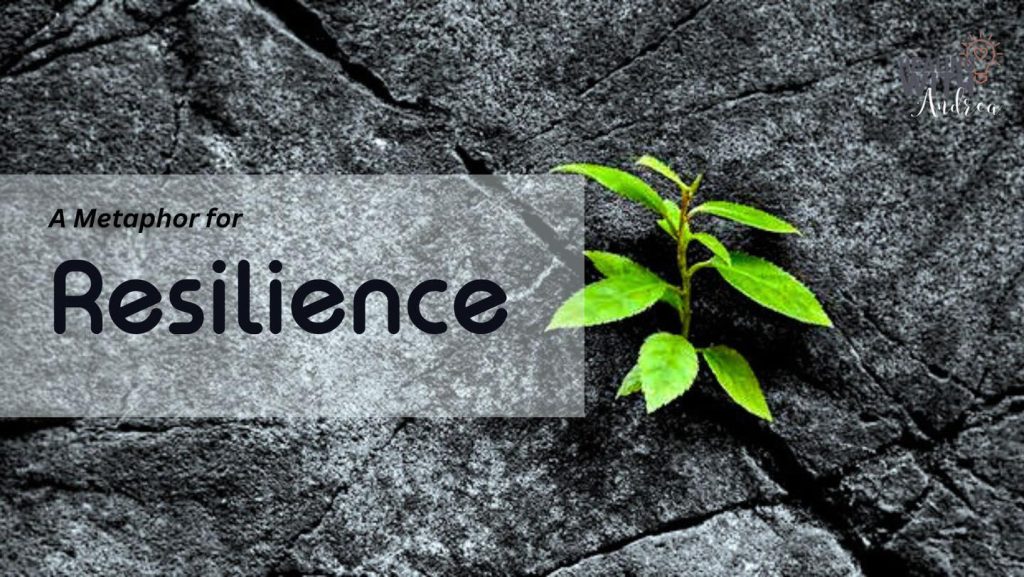 Image for Resilience by Healing with Andrea
